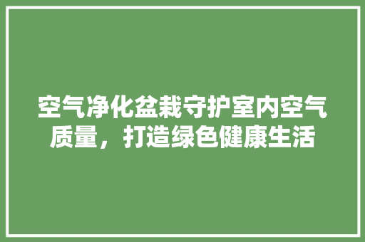 空气净化盆栽守护室内空气质量，打造绿色健康生活