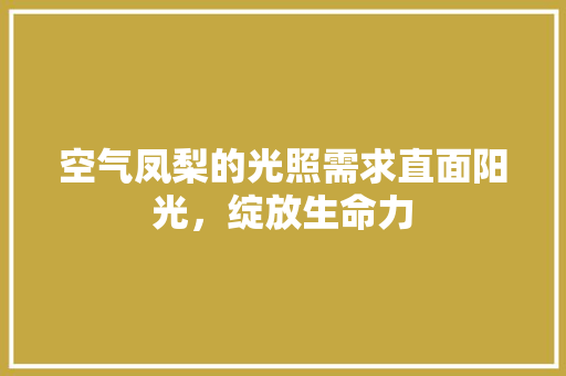空气凤梨的光照需求直面阳光，绽放生命力 墙体维修