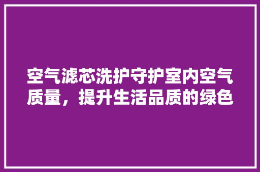 空气滤芯洗护守护室内空气质量，提升生活品质的绿色行动 汽车维修