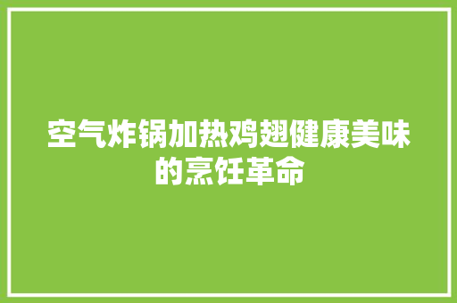 空气炸锅加热鸡翅健康美味的烹饪革命 汽车维修