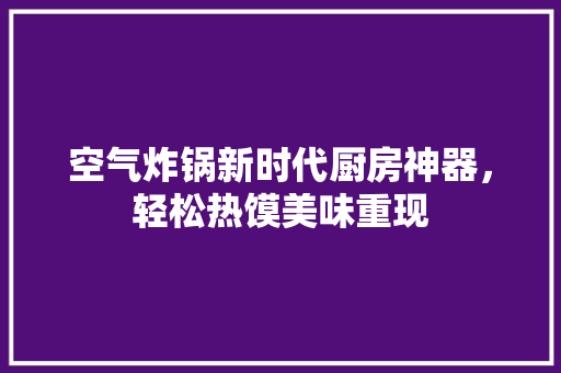 空气炸锅新时代厨房神器，轻松热馍美味重现