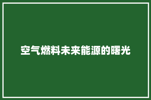 空气燃料未来能源的曙光