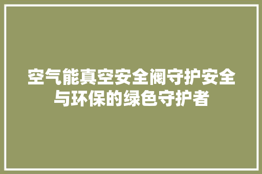 空气能真空安全阀守护安全与环保的绿色守护者
