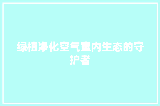 绿植净化空气室内生态的守护者