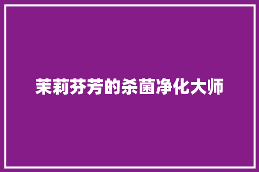 茉莉芬芳的杀菌净化大师