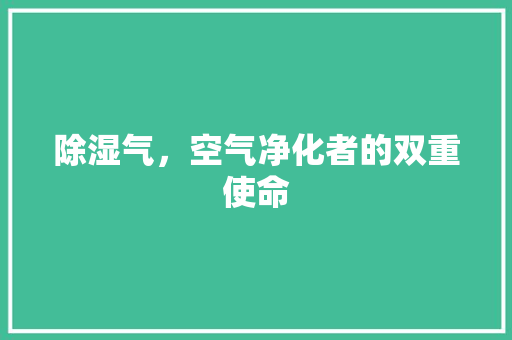 除湿气，空气净化者的双重使命