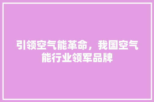 引领空气能革命，我国空气能行业领军品牌