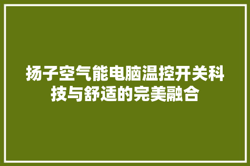 扬子空气能电脑温控开关科技与舒适的完美融合