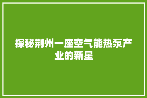 探秘荆州一座空气能热泵产业的新星