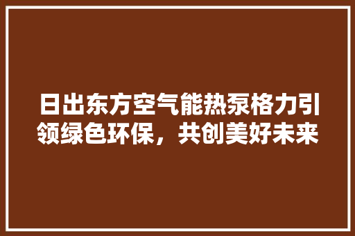 日出东方空气能热泵格力引领绿色环保，共创美好未来 厨房维修