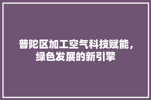 普陀区加工空气科技赋能，绿色发展的新引擎