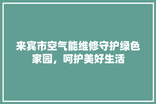 来宾市空气能维修守护绿色家园，呵护美好生活 墙体维修