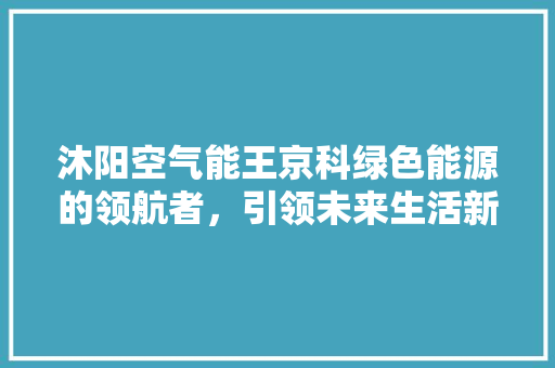 沐阳空气能王京科绿色能源的领航者，引领未来生活新风尚 家电维修