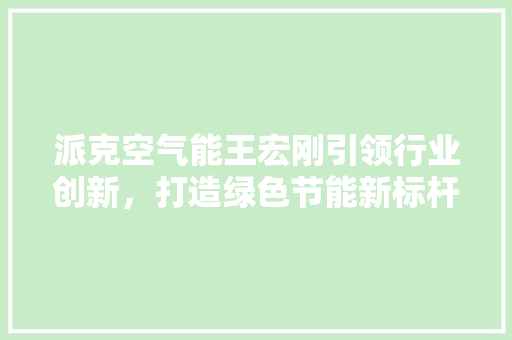 派克空气能王宏刚引领行业创新，打造绿色节能新标杆