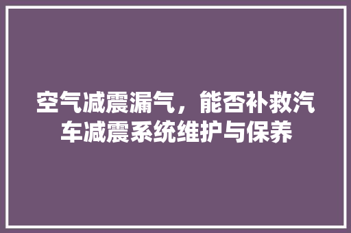 空气减震漏气，能否补救汽车减震系统维护与保养