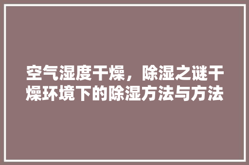 空气湿度干燥，除湿之谜干燥环境下的除湿方法与方法