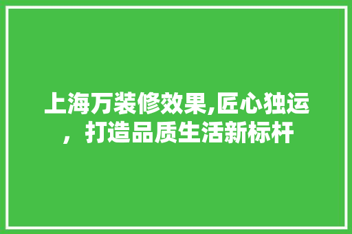上海万装修效果,匠心独运，打造品质生活新标杆