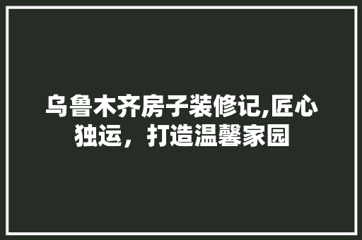 乌鲁木齐房子装修记,匠心独运，打造温馨家园