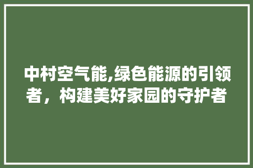 中村空气能,绿色能源的引领者，构建美好家园的守护者_中村空气能