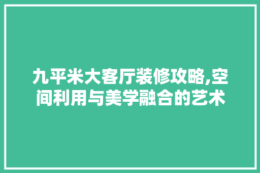 九平米大客厅装修攻略,空间利用与美学融合的艺术
