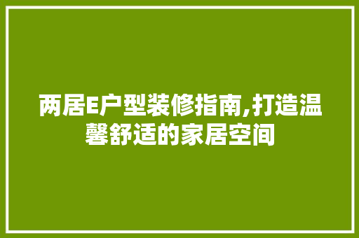 两居E户型装修指南,打造温馨舒适的家居空间