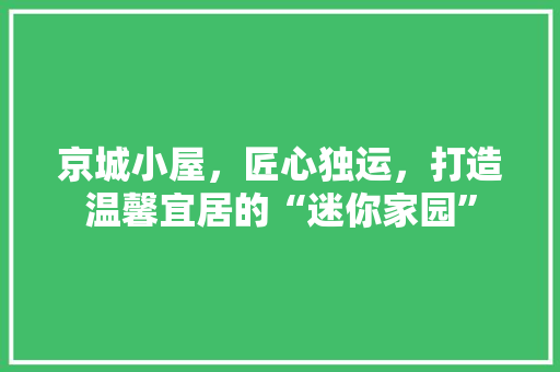 京城小屋，匠心独运，打造温馨宜居的“迷你家园” 京城小屋，匠心独运，打造温馨宜居的“迷你家园” 墙体维修