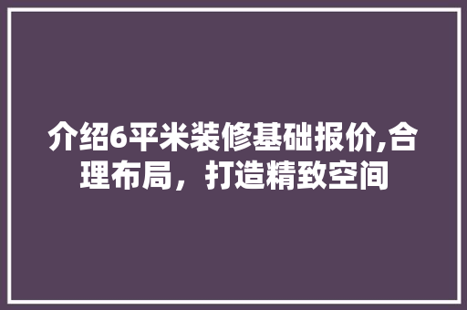 介绍6平米装修基础报价,合理布局，打造精致空间 介绍6平米装修基础报价,合理布局，打造精致空间 厨房维修