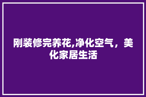 刚装修完养花,净化空气，美化家居生活