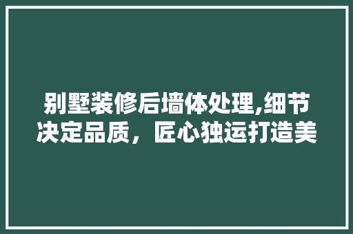 别墅装修后墙体处理,细节决定品质，匠心独运打造美好空间