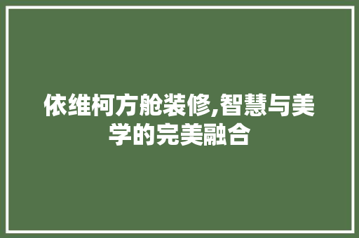 依维柯方舱装修,智慧与美学的完美融合