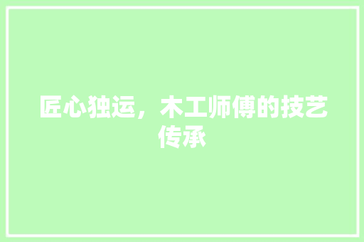 匠心独运，木工师傅的技艺传承 匠心独运，木工师傅的技艺传承 墙体维修