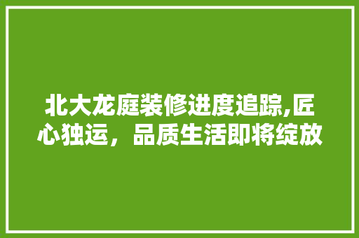 北大龙庭装修进度追踪,匠心独运，品质生活即将绽放 北大龙庭装修进度追踪,匠心独运，品质生活即将绽放 综合便民