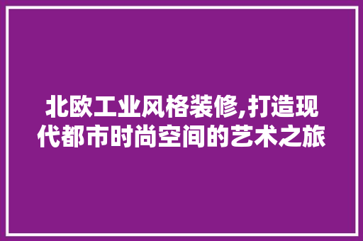 北欧工业风格装修,打造现代都市时尚空间的艺术之旅
