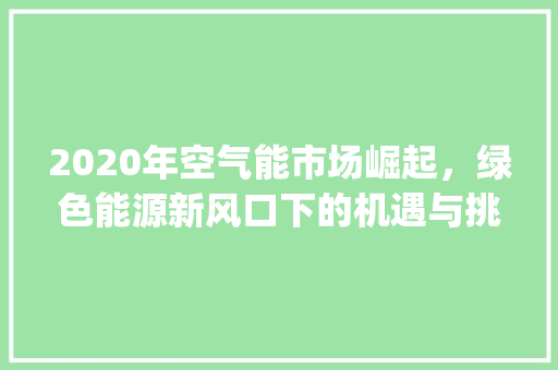 2020年空气能市场崛起，绿色能源新风口下的机遇与挑战_2020空气能销售