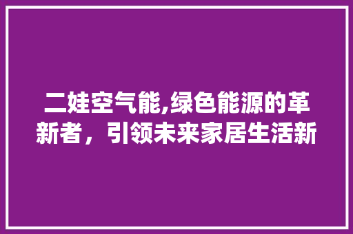 二娃空气能,绿色能源的革新者，引领未来家居生活新风尚_二娃空气能