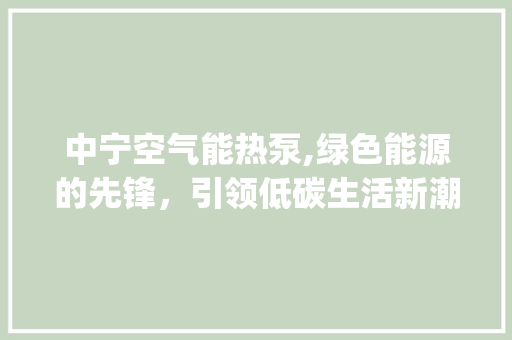 中宁空气能热泵,绿色能源的先锋，引领低碳生活新潮流_中宁空气能热泵