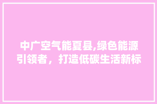 中广空气能夏县,绿色能源引领者，打造低碳生活新标杆_中广空气能夏县