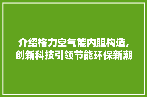 介绍格力空气能内胆构造,创新科技引领节能环保新潮流_格力空气能内胆构造