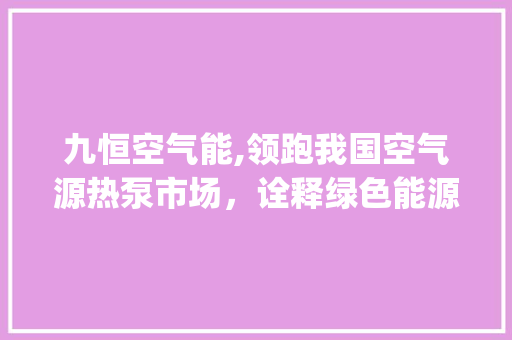 九恒空气能,领跑我国空气源热泵市场，诠释绿色能源新篇章_九恒空气能排名