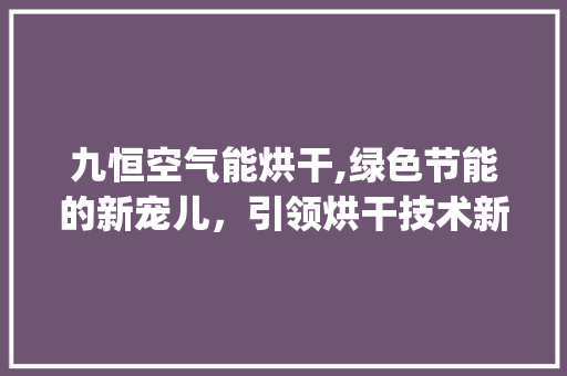 九恒空气能烘干,绿色节能的新宠儿，引领烘干技术新潮流_九恒空气能烘干