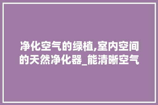 净化空气的绿植,室内空间的天然净化器_能清晰空气的植物
