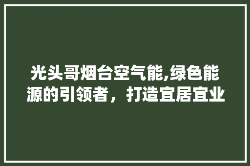 光头哥烟台空气能,绿色能源的引领者，打造宜居宜业新典范_光头哥烟台空气能