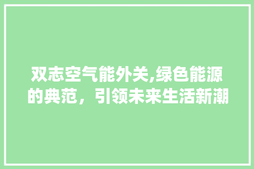 双志空气能外关,绿色能源的典范，引领未来生活新潮流_双志空气能外关 双志空气能外关,绿色能源的典范，引领未来生活新潮流_双志空气能外关 厨房维修