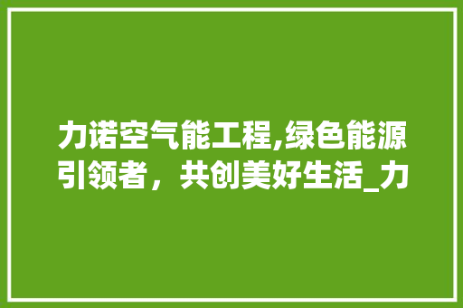 力诺空气能工程,绿色能源引领者，共创美好生活_力诺空气能工程