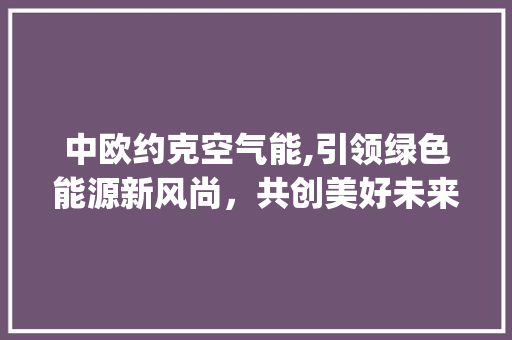 中欧约克空气能,引领绿色能源新风尚，共创美好未来_中欧约克空气能厂家 中欧约克空气能,引领绿色能源新风尚，共创美好未来_中欧约克空气能厂家 家电维修