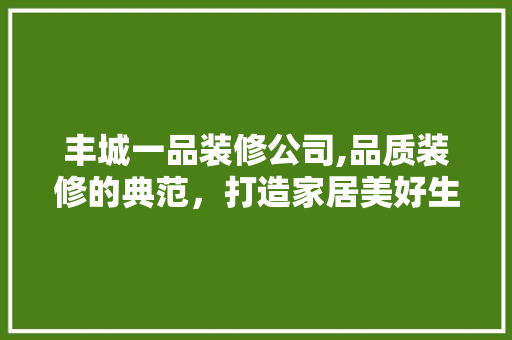 丰城一品装修公司,品质装修的典范，打造家居美好生活的引领者
