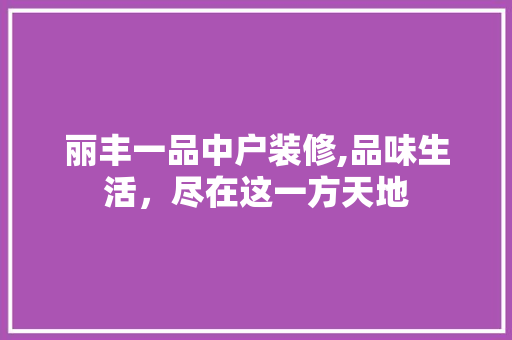 丽丰一品中户装修,品味生活，尽在这一方天地