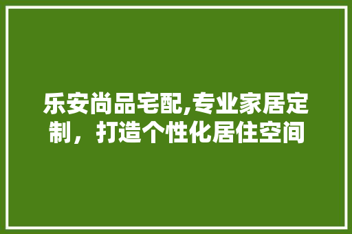 乐安尚品宅配,专业家居定制，打造个性化居住空间