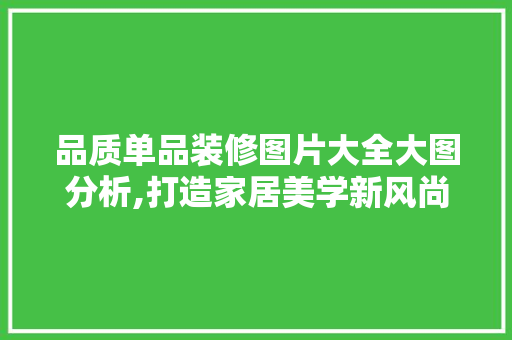 品质单品装修图片大全大图分析,打造家居美学新风尚