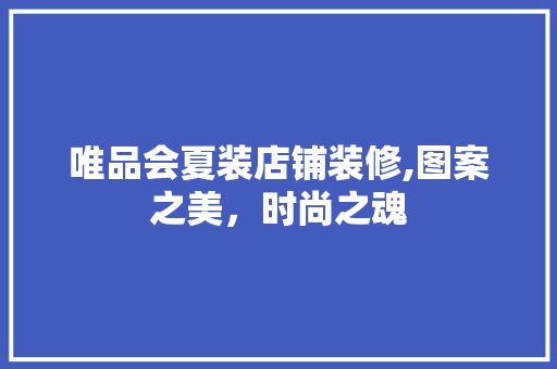 唯品会夏装店铺装修,图案之美，时尚之魂